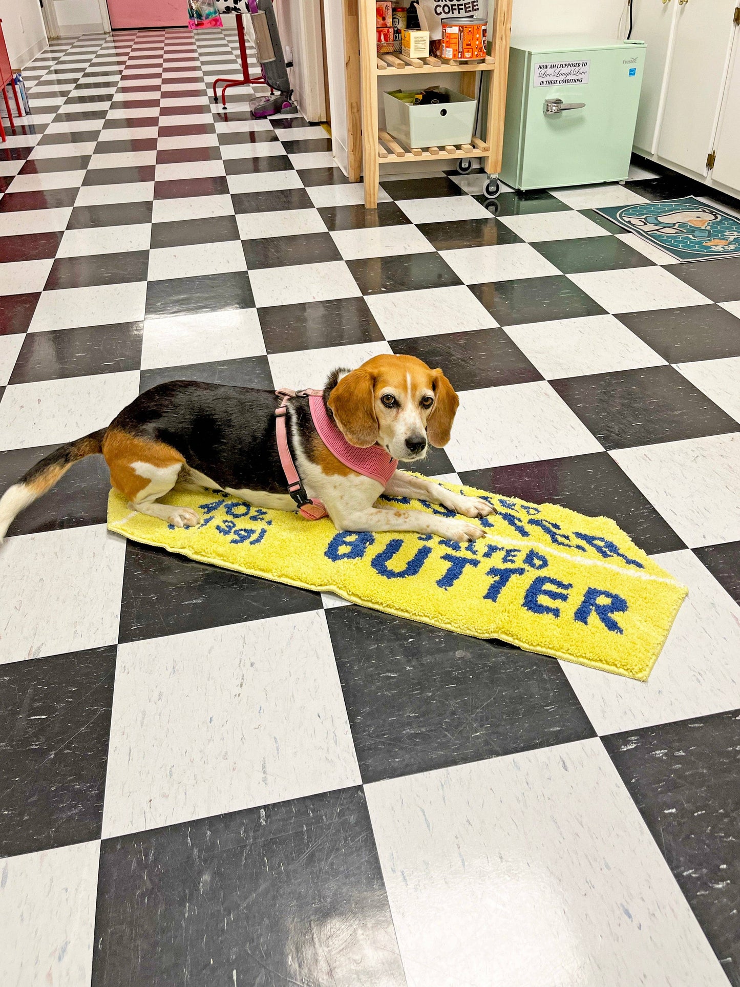 Butter Home Rug