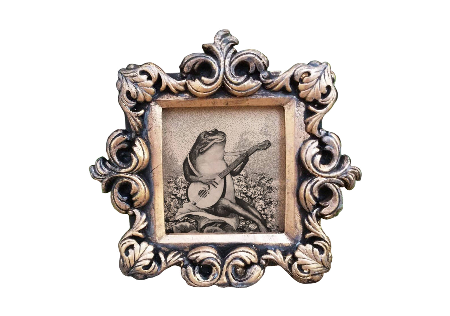 Mini vintage framed frog print playing banjo gift store knoxville
