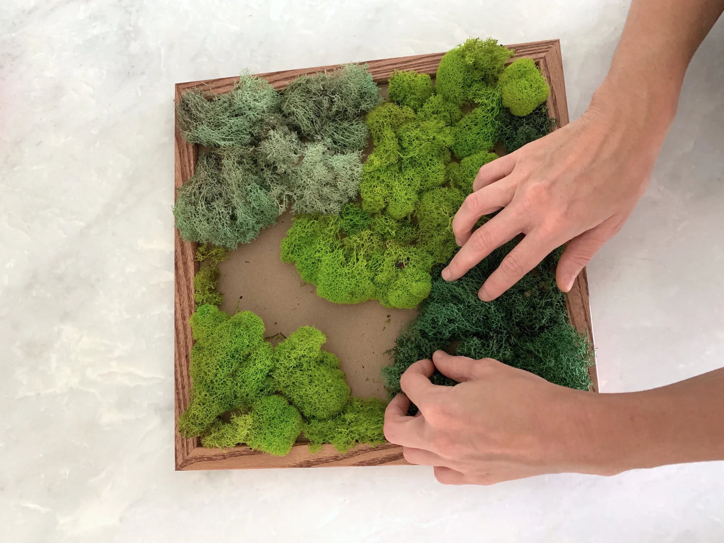 Dried Floral Moss Wall Workshop on May 30th