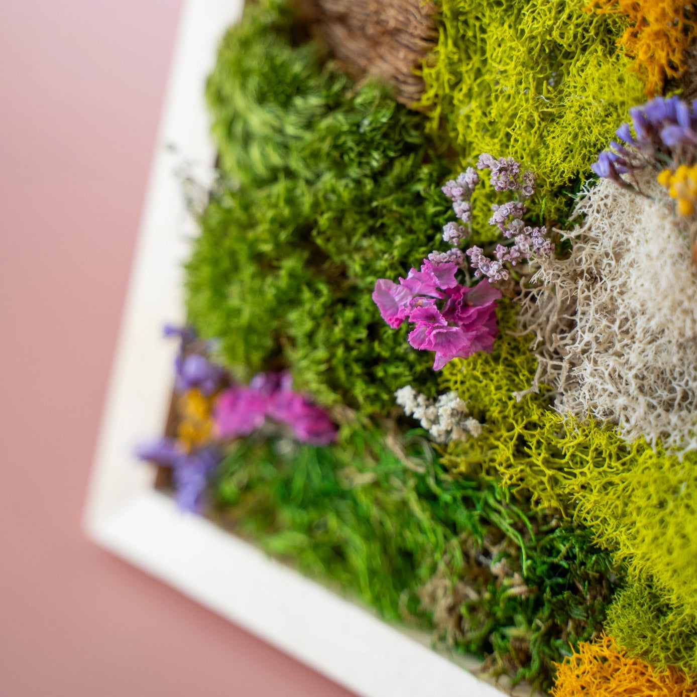 Dried Floral Moss Wall Workshop on May 30th