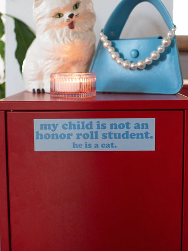 Bumper Sticker Magnet for cat moms safe for cars, easy to apply and remove
