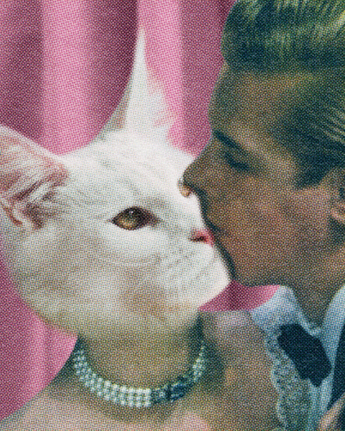 Purrfect Love Cat Art Print