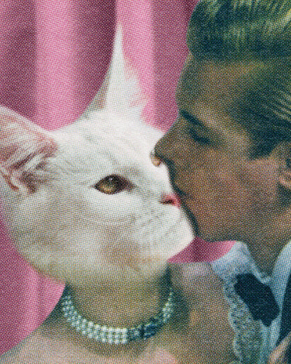 Purrfect Love Cat Art Print