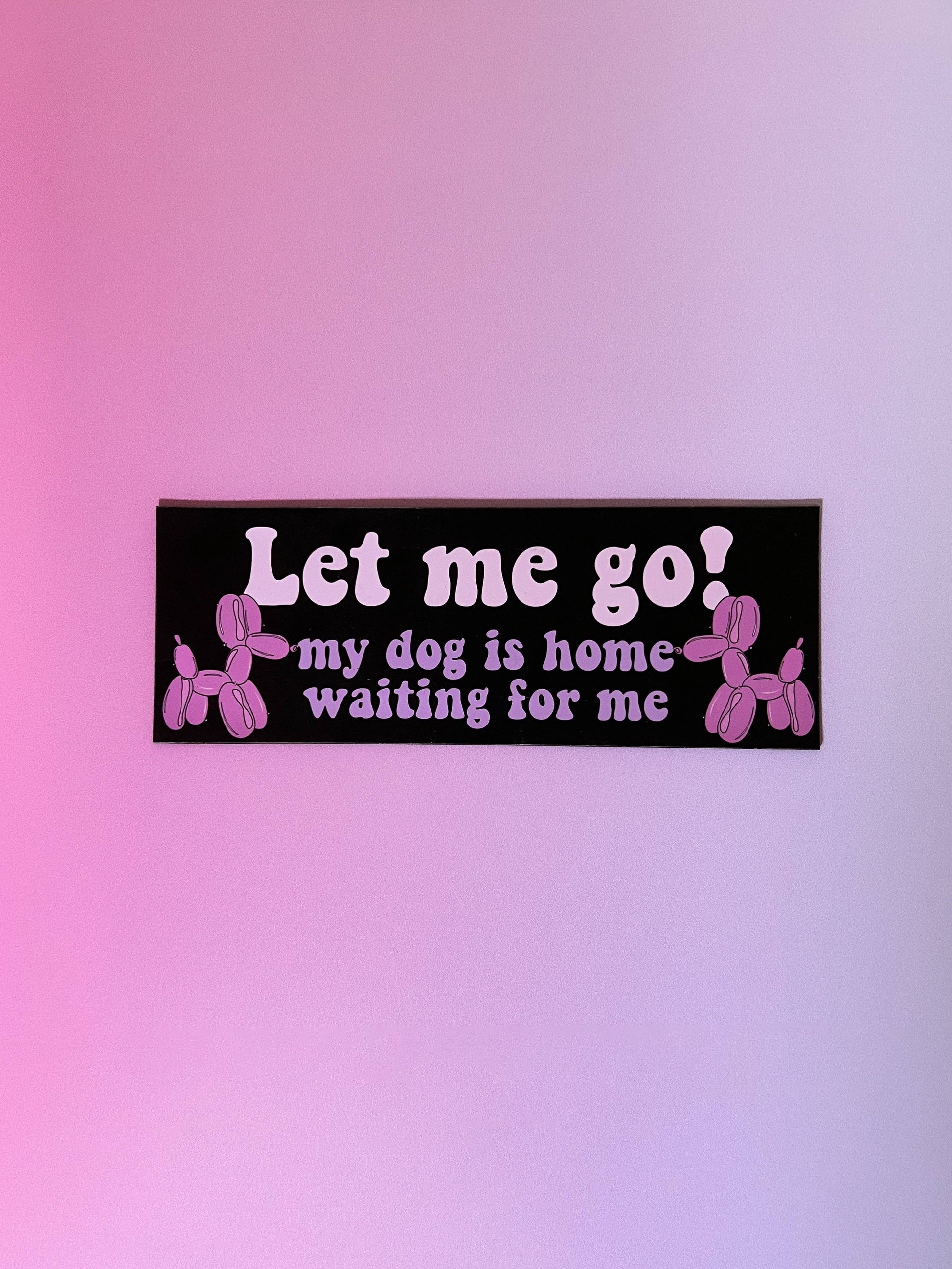 Gift shop car magnet for dog owners