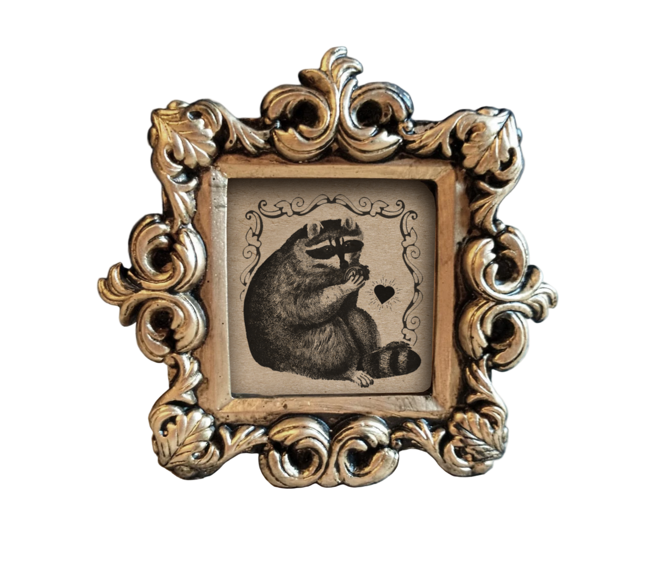 Mini vintage raccoon print in baroque resin frame gift store