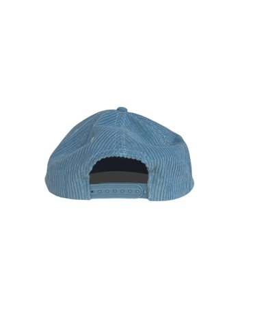 Tennessee Smokies Hat