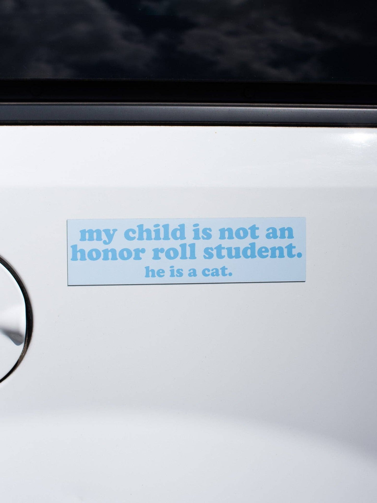 Fun gift for cat moms weather resistant cat-themed car magnet