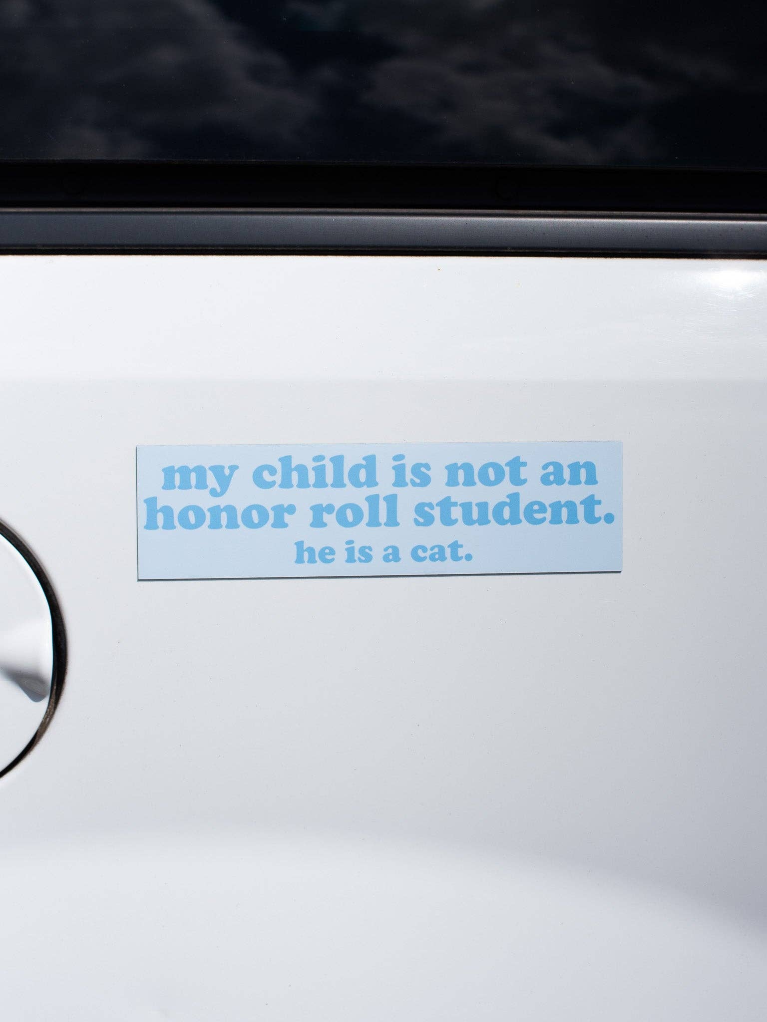 Fun gift for cat moms weather resistant cat-themed car magnet